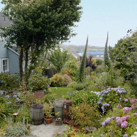Gay Travel To Mendocino Travel Tips From Jayme Barker Of Blue