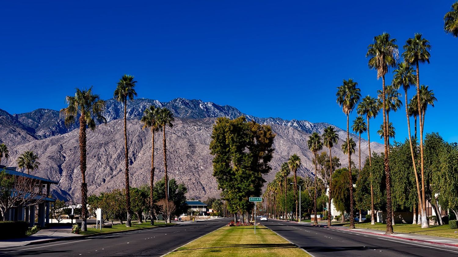 Gay-palm-springs-with-mountains-and-trees-min.