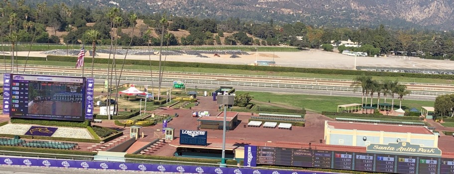 2019 Breeders’ Cup World Thoroughbred Championships Image