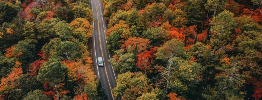 Top 10 Foliage-Filled Fall Getaways Image